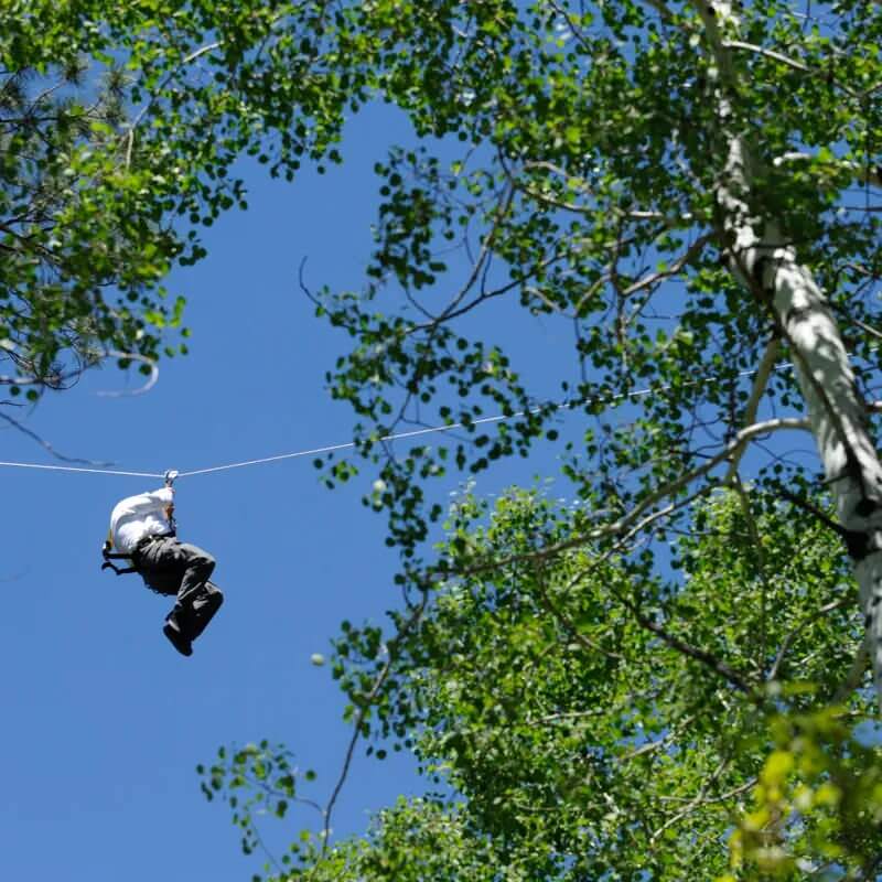 Soaring Tree Top Adventures
